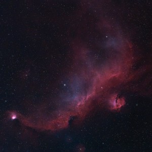 Sh2-292 Seagull Nebula